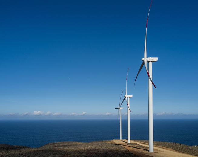 Punta Palmeras_Galeria1.jpg