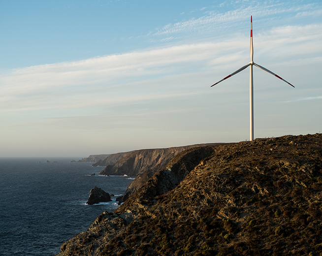 Punta Palmeras_Galeria2.jpg