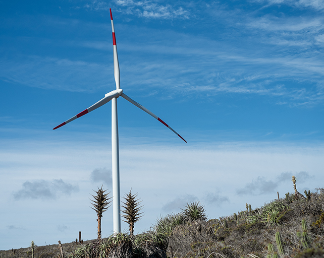 Punta Palmeras_Galeria3.jpg