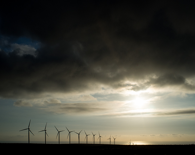 Punta Palmeras_Galeria5.jpg