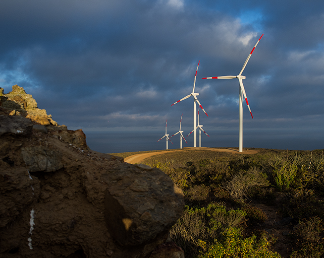 Punta Palmeras_Galeria4.jpg