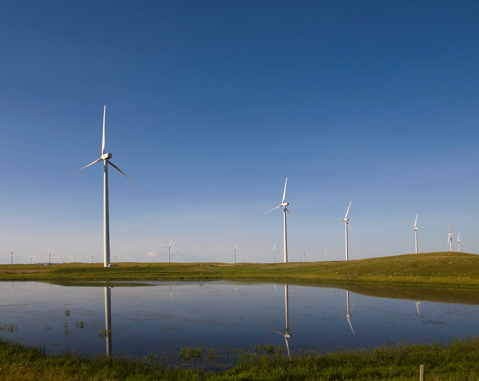 ACCIONA se compromete a ser una empresa neutra en carbono en el año 2016